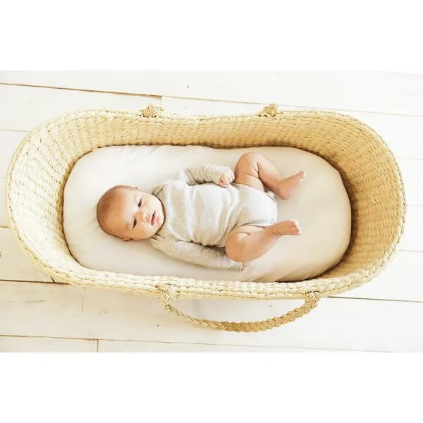 Jersey bassinet fitted sheet online