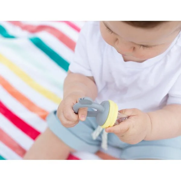 https://www.babyonthemove.co.nz/wp-content/uploads/2022/02/cherub-baby-silicone-fresh-food-feeder-tether-lemon-grey-ls2-600x600.jpg.webp