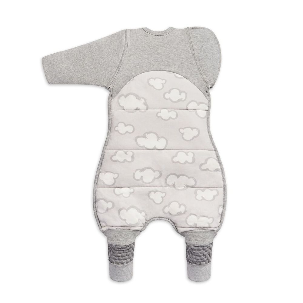 Love to Dream Swaddle UP Transition Suit 2.5 TOG Daydream Grey